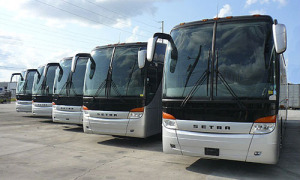 charter buses